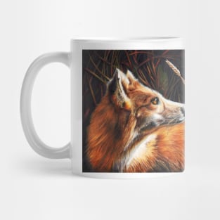 For Fox Sake Mug